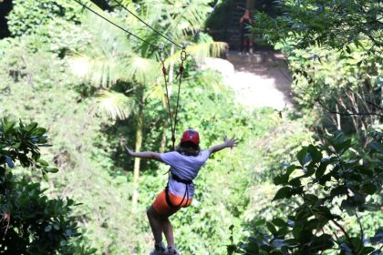 Gestores aprovam modelo de concessão de parques naturais e urbanos