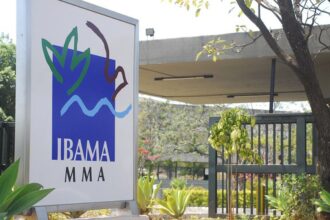 Governo autoriza nomeação de 460 aprovados em concurso do Ibama