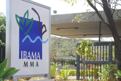 Governo autoriza nomeação de 460 aprovados em concurso do Ibama