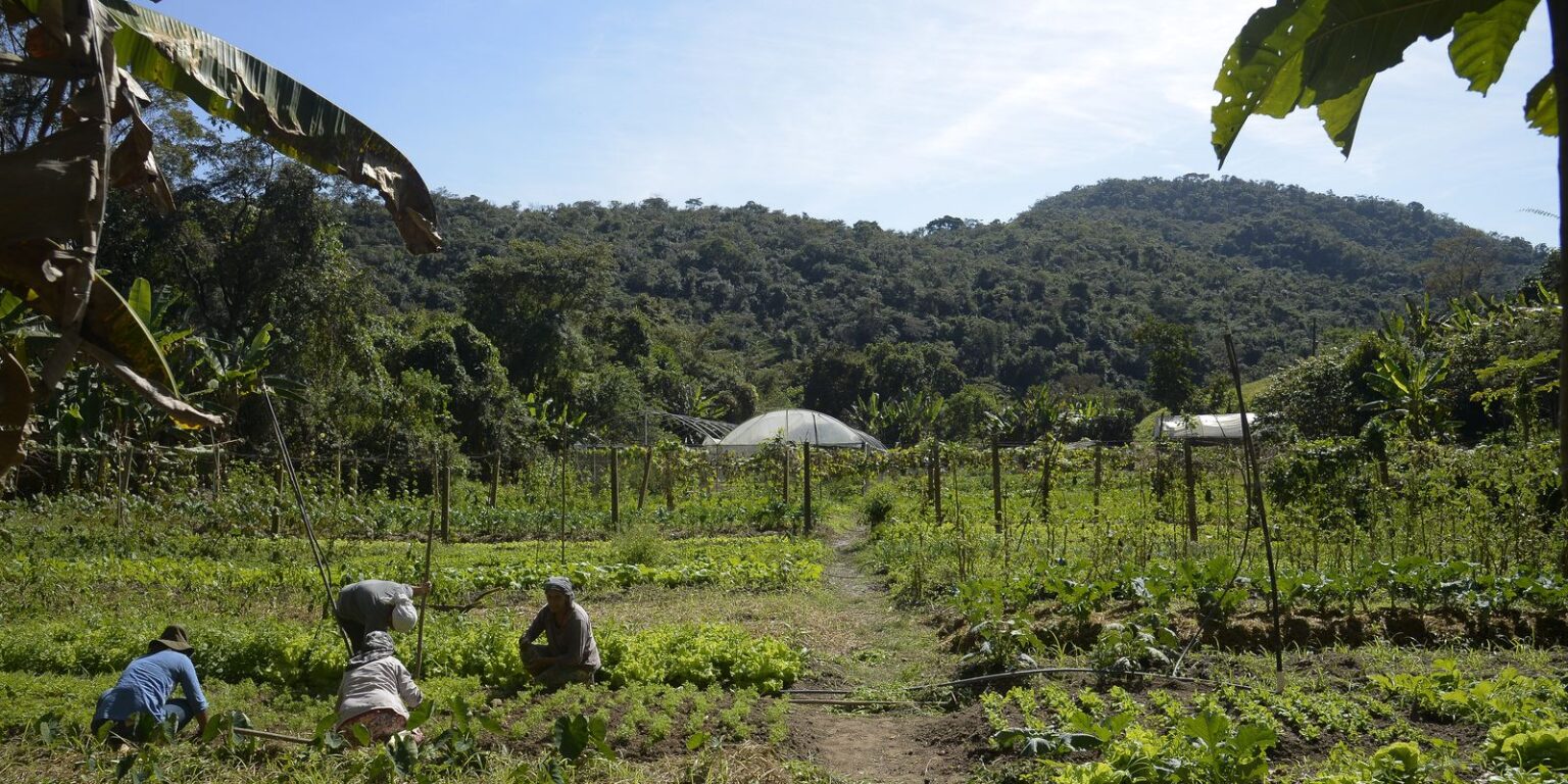 Lula autoriza uso de R$ 12 bilhões para renegociação de dívidas rurais