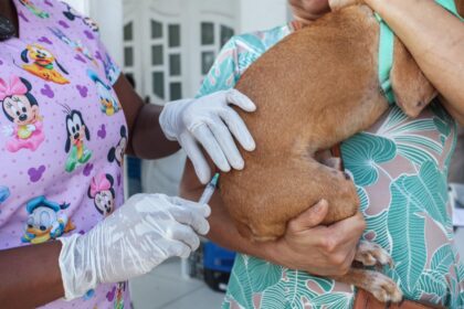 Prefeitura de Santo Antônio de Jesus realizou Dia D da Vacinação Antirrábica – Prefeitura de Santo Antônio de Jesus - BA