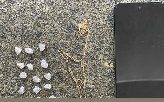 14º BPM prende homem por tráfico de drogas em Santo Antônio de Jesus