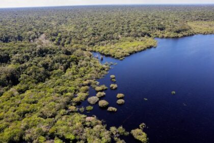 Amazônia e Cerrado registram queda de 11% no desmatamento