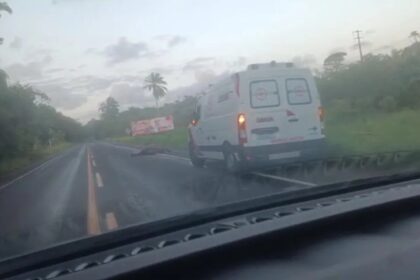 Ambulância colide com cavalo na BA-001, em Vera Cruz