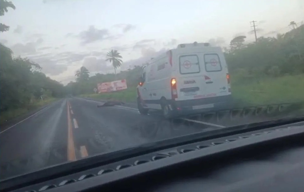 Ambulância colide com cavalo na BA-001, em Vera Cruz
