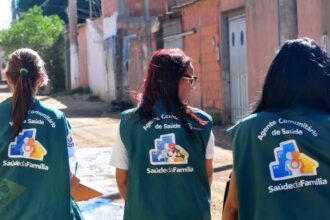 Câmara aprova PEC que garante aposentadoria especial e estabilidade a agentes comunitários de saúde e de endemias