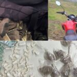 Dois homens são presos por tráfico de drogas em Nazaré