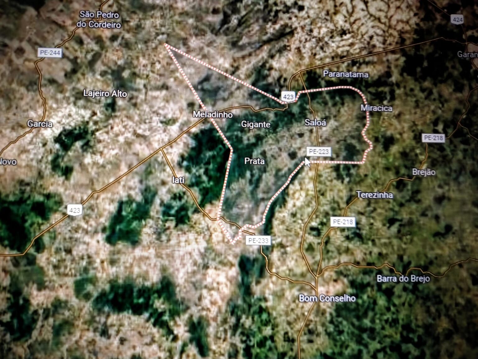 Ônibus tomba e deixa 15 mortos