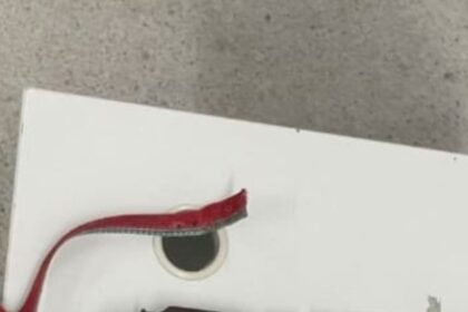 Polícia Militar apreende arma de fogo em ocorrência de violência doméstica em Vera Cruz