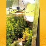 Polícia encontra laboratório de drogas em Valença durante operação da 5ª COORPIN