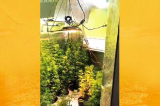 Polícia encontra laboratório de drogas em Valença durante operação da 5ª COORPIN