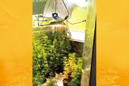 Polícia encontra laboratório de drogas em Valença durante operação da 5ª COORPIN