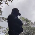 Polícia prende homem com espingardas artesanais e pássaros silvestres no município de Laje