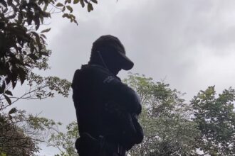 Polícia prende homem com espingardas artesanais e pássaros silvestres no município de Laje