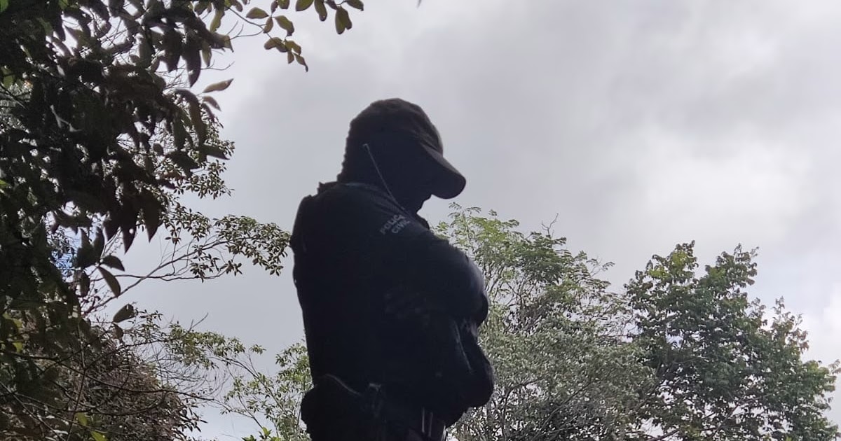 Polícia prende homem com espingardas artesanais e pássaros silvestres no município de Laje