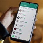 WhatsApp é o principal meio de comunicação para 80% dos negócios de serviço