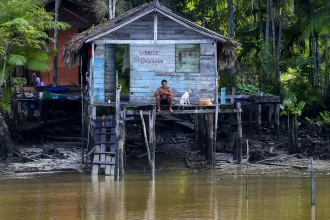 A COP 30 veio para colocar quem preserva a Amazônia como protagonista do debate — Agência Gov