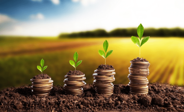 Brasil pode bater recorde de safra com 354,8 milhões de toneladas de grãos em 2025/26