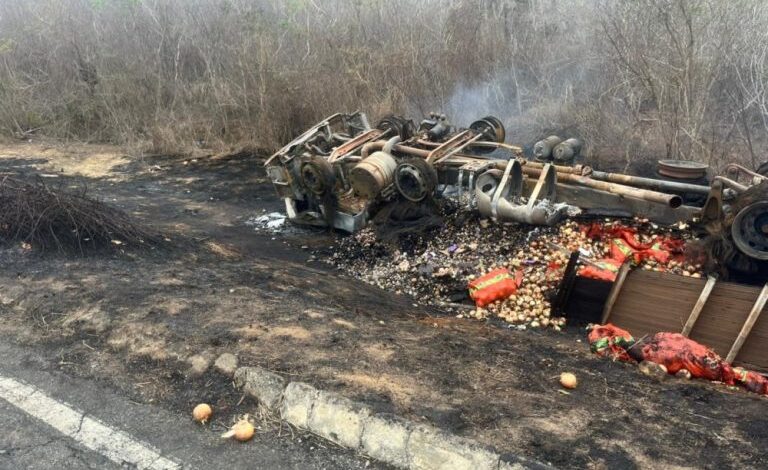Caminhão capota e pega fogo na BA-026, entre Maracás e Nova Itarana