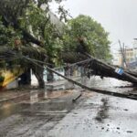 Chuva em Salvador provoca alagamentos e queda de árvore; veja