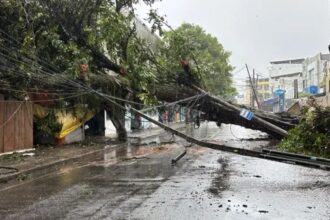 Chuva em Salvador provoca alagamentos e queda de árvore; veja