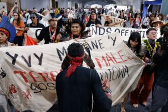 Demarcação de terras e maior participação mobilizaram protestos na COP