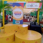 Festival do Queijo Artesanal da Bahia celebra a força dos pequenos produtores