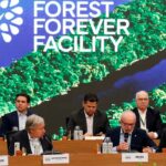 Fundo para florestas tropicais atinge aporte de US$ 5,5 bilhões