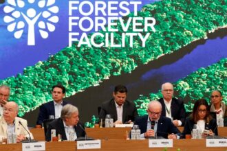 Fundo para florestas tropicais atinge aporte de US$ 5,5 bilhões