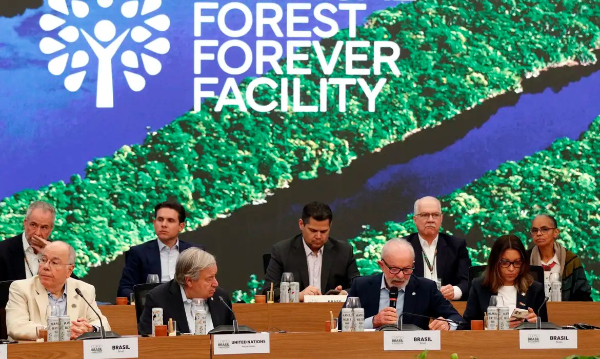 Fundo para florestas tropicais atinge aporte de US$ 5,5 bilhões