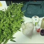 Homem é preso por cultivo ilegal de maconha em Cruz das Almas