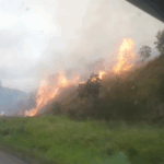 Incêndio às margens da BR-101 causa fumaça e dificulta visibilidade perto de Dom Macedo Costa