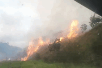 Incêndio às margens da BR-101 causa fumaça e dificulta visibilidade perto de Dom Macedo Costa