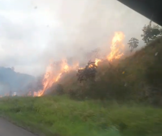 Incêndio às margens da BR-101 causa fumaça e dificulta visibilidade perto de Dom Macedo Costa