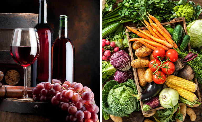 Novo regulamento moderniza fiscalização de produtos de origem vegetal — Agência Gov