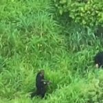 Operação policial em São Félix tem nove suspeitos mortos em 48 horas