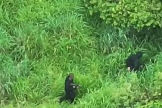 Operação policial em São Félix tem nove suspeitos mortos em 48 horas