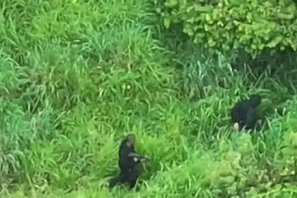 Operação policial em São Félix tem nove suspeitos mortos em 48 horas