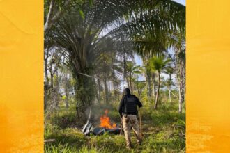 Polícia Civil desarticula acampamento de grupo criminoso em Nilo Peçanha