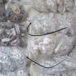 Suspeitos fugiram ao ver a polícia