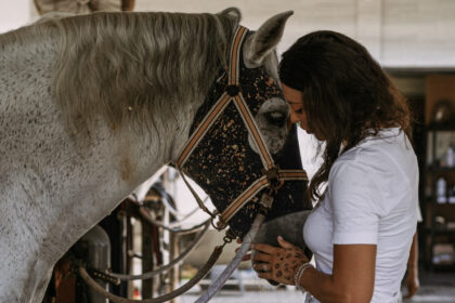 UNIFACS realiza atendimento clínico e odontológico a cavalos urbanos de Salvador