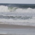 Consciência ambiental cresce em áreas com projetos de longa duração