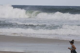 Consciência ambiental cresce em áreas com projetos de longa duração