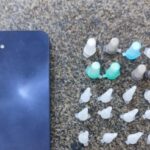 Homem é preso por tráfico de drogas no centro de Santo Antônio de Jesus