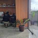 MPBA desmonta esquema criminoso ligado a agentes políticos de Madre de Deus na Operação Xeque Mater