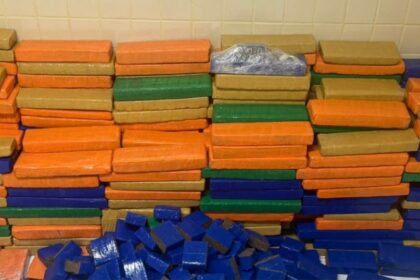 PM apreende cerca de uma tonelada de maconha em Simões Filho