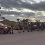 Ações avançam por áreas de mata e miram