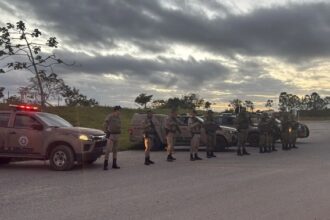Ações avançam por áreas de mata e miram