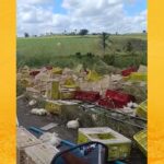 Caminhão carregado de frango tomba na BR-101, entre S. A. de Jesus e Dom Macedo Costa