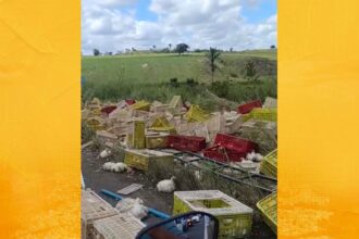 Caminhão carregado de frango tomba na BR-101, entre S. A. de Jesus e Dom Macedo Costa